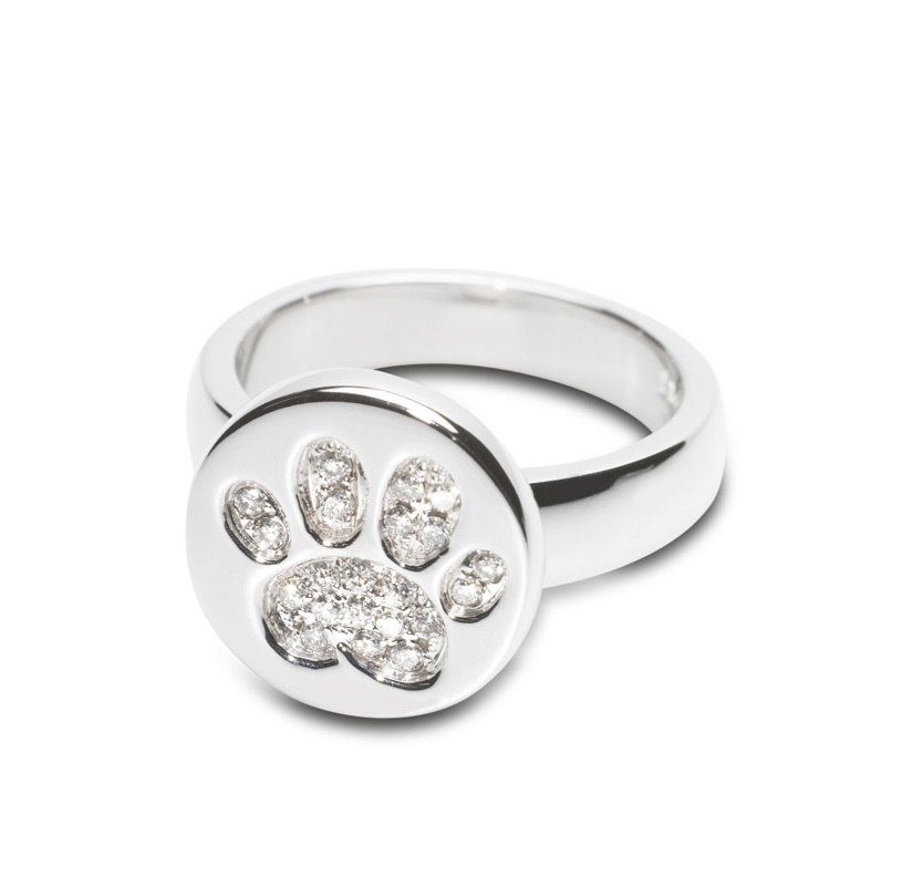 Amazon.com: Dainty 14k Yellow Gold High Polish Dog Paw Print Ring (Size 4):  Clothing, Shoes & Jewelry